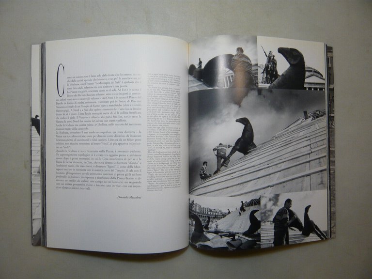 LA MONTAGNA DEL SALE.Paladino a Napoli,Mondadori, Milano, 1996