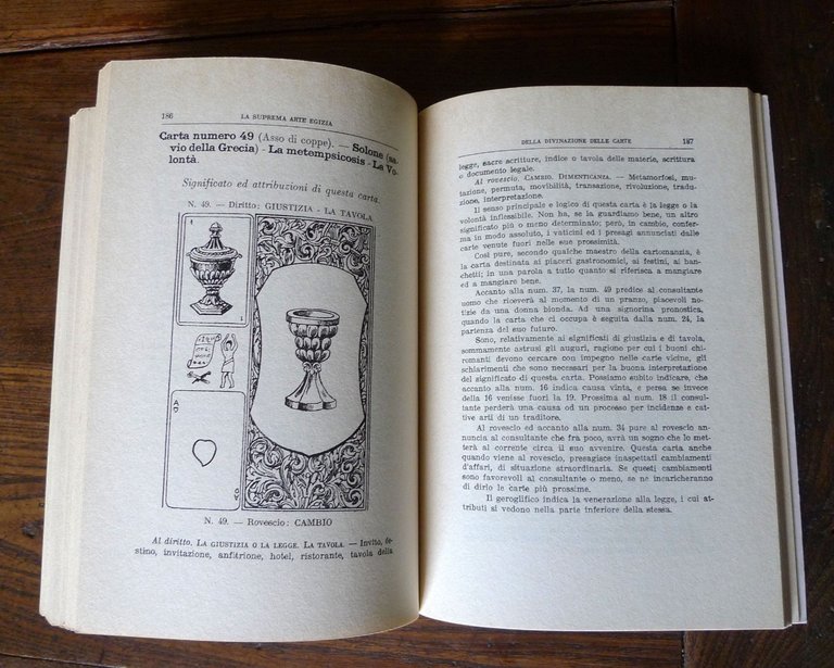 LA SUPREMA ARTE EGIZIA DELLA DIVINAZIONE CON LE CARTE,'90 Rebis[esoterismo,MAGIA