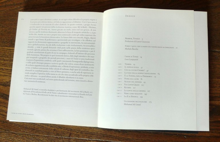 Lacquaniti,I MURI DI TUNISI.SEGNI DI RIVOLTA,2015 Exorma[Tunisia,STREET ART