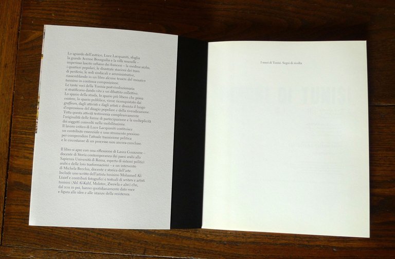 Lacquaniti,I MURI DI TUNISI.SEGNI DI RIVOLTA,2015 Exorma[Tunisia,STREET ART