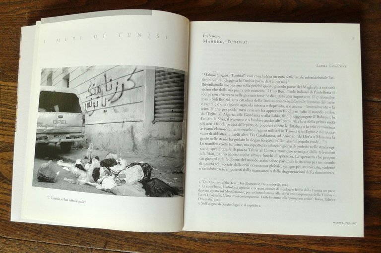 Lacquaniti,I MURI DI TUNISI.SEGNI DI RIVOLTA,2015 Exorma[Tunisia,STREET ART