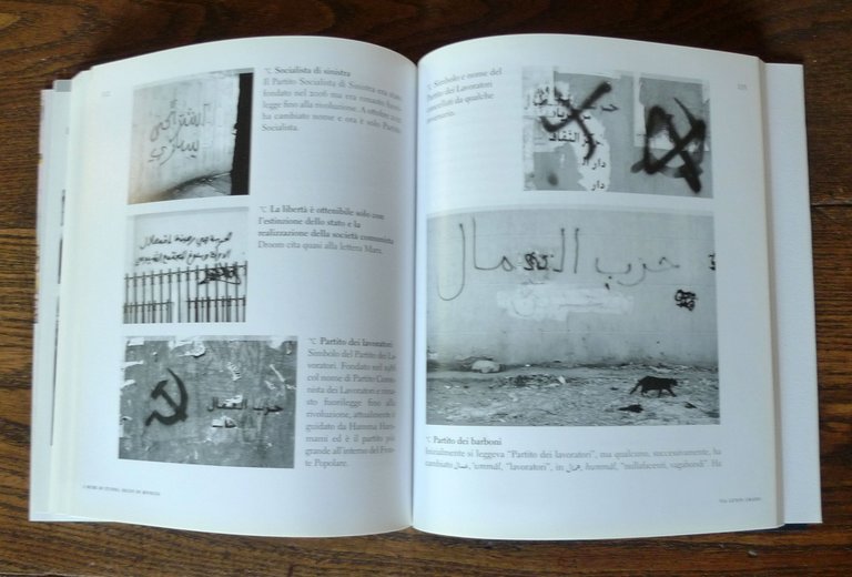 Lacquaniti,I MURI DI TUNISI.SEGNI DI RIVOLTA,2015 Exorma[Tunisia,STREET ART