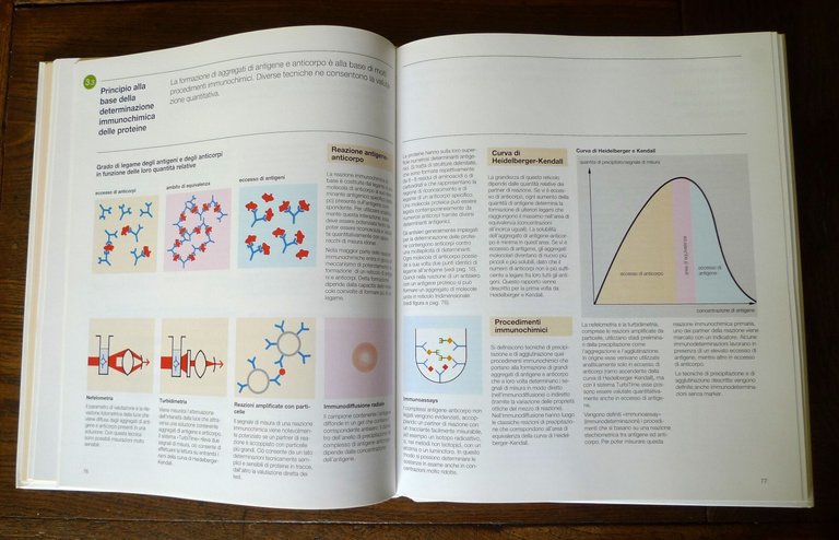 LE PROTEINE NELLA DIAGNOSTICA,1992 Istituto Behring[medicina,diagnosi