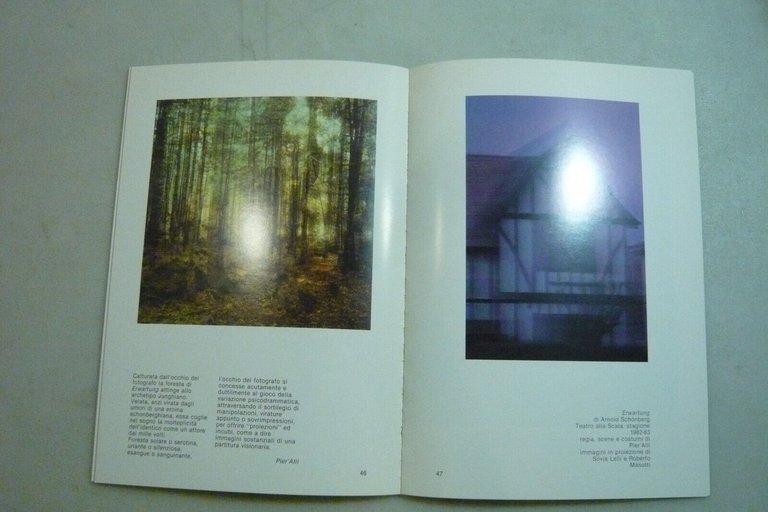 Lelli-Masotti,CATALOGO, 1988 [arte