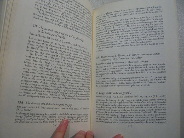 LEONARDO DA VINCI Anatomical drawings from the royal collection, 1977