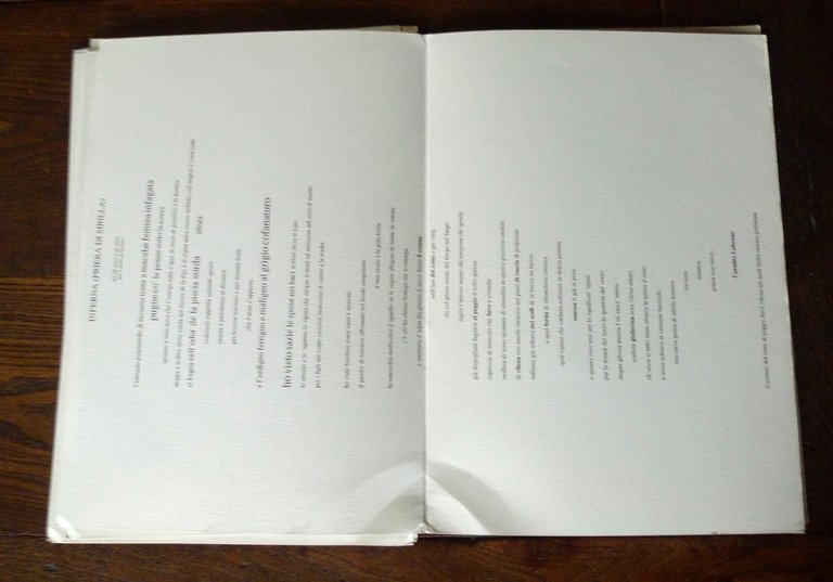 LIBRO D'ARTISTA-POZZOLANA[poesia visiva,Carmine Lubrano,Sanguineti,Diacono | Immagine Gallery 10