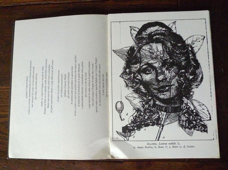 LIBRO D'ARTISTA-POZZOLANA[poesia visiva,Carmine Lubrano,Sanguineti,Diacono | Immagine Gallery 3