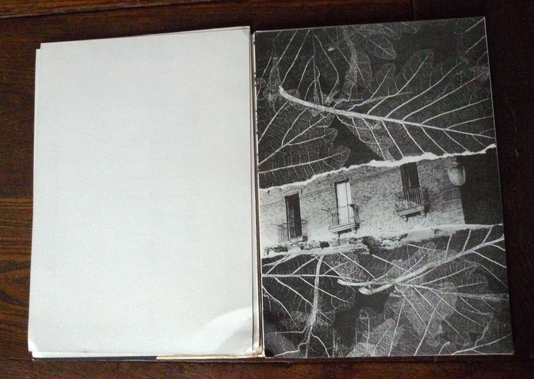 LIBRO D'ARTISTA-POZZOLANA[poesia visiva,Carmine Lubrano,Sanguineti,Diacono | Immagine Gallery 5