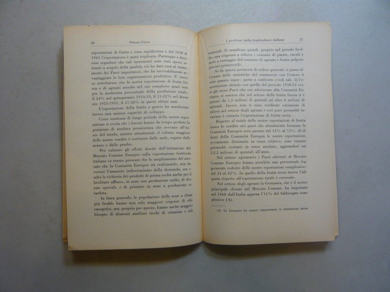 LO SVILUPPO ECONOMICO DELLE COMUNITA’ EUROPEE.Prospettive e problemi economici