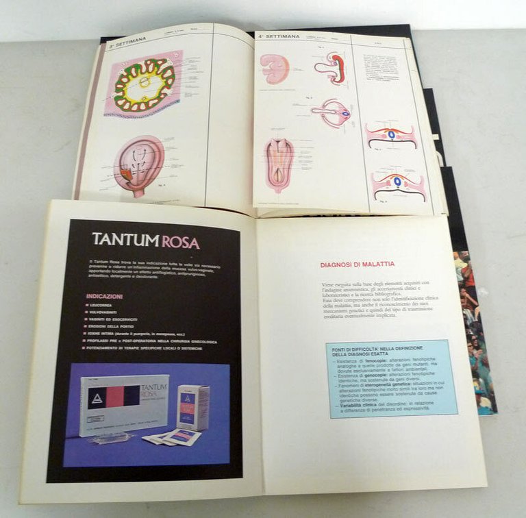 Lotto 8 vol.CONCEPTA,Angelini 1974[medicina,LEUCEMIE,FISIOPATOLOGIA PRENATALE