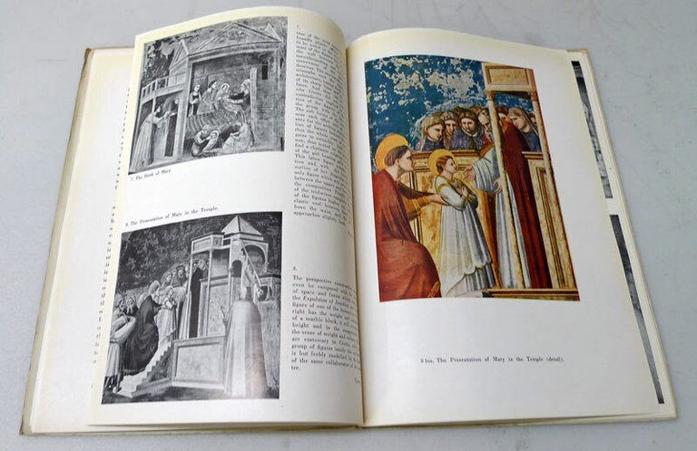 Lotto Guide ARTE:CONVENTO DI SAN MARCO,UFFIZI,SANTA CROCE,SAN MARCO,Arnaud