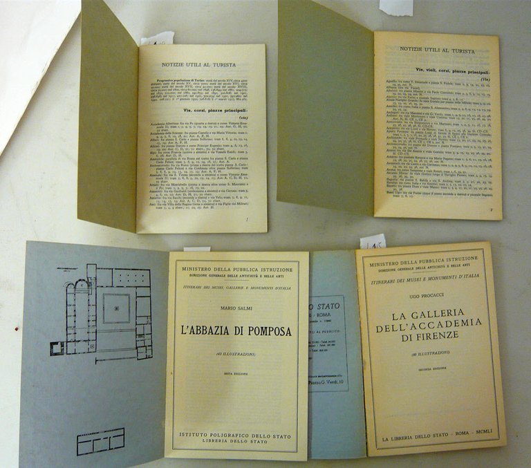 Lotto GUIDE TURISTICHE:GALLERIA DELL’ACCADEMIA DI FIRENZE,MILANO,TORINO,POMPOSA
