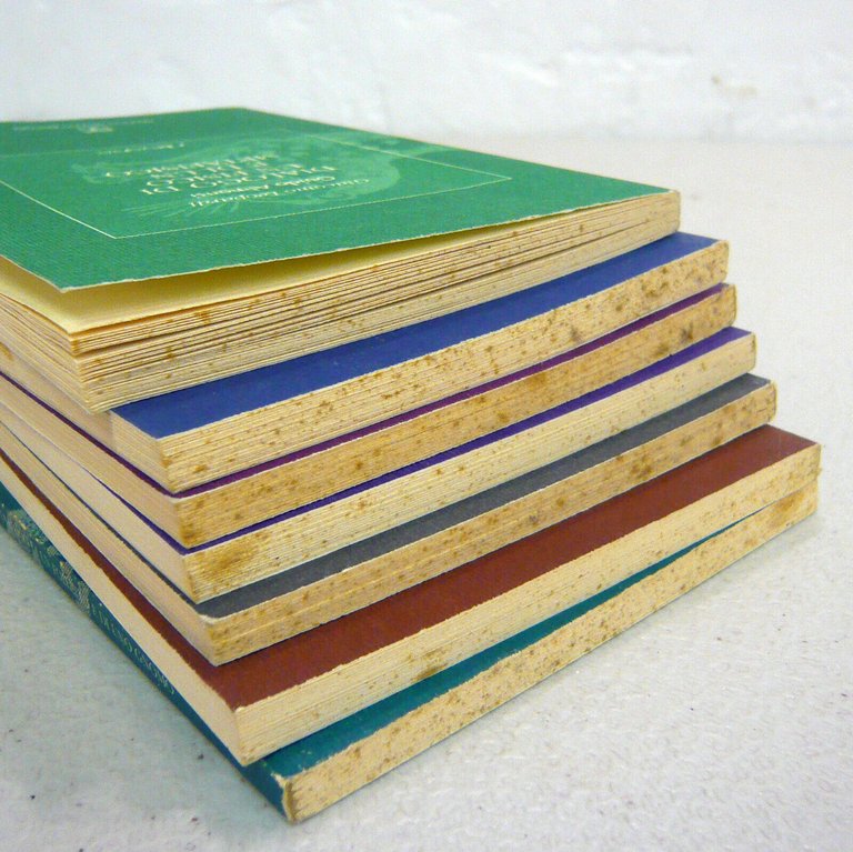 Lotto I LEOPARDINI,Muzzio 1992[Leopardi,Operette Morali,Celli,Zolla,Bellone