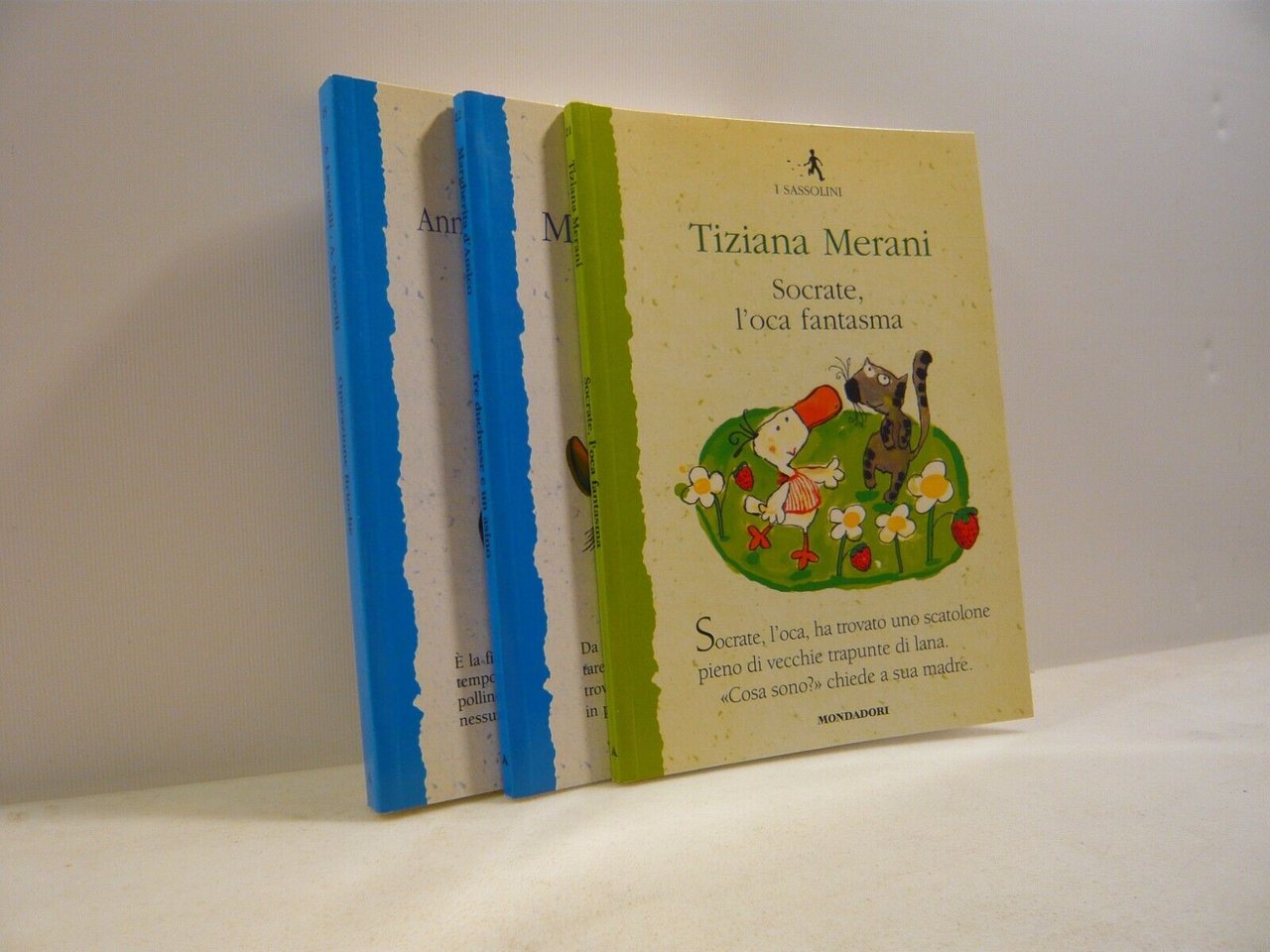 Lotto I SASSOLINI.Storie illustrate per bambini[Anna Vivarelli,Tiziana Merani