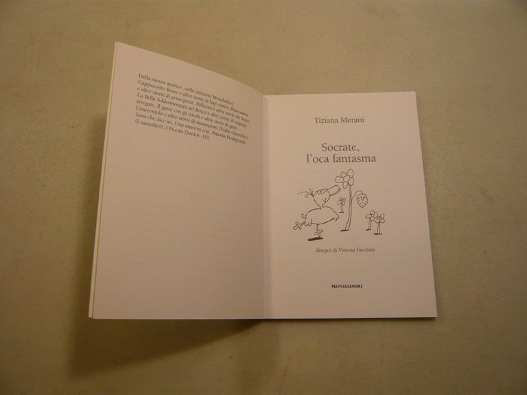 Lotto I SASSOLINI.Storie illustrate per bambini[Anna Vivarelli,Tiziana Merani