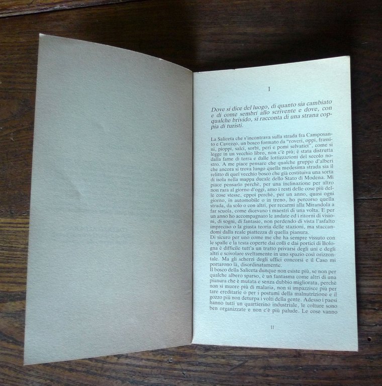 Luca Tiribocchi,GLI APPUNTI FANTASTICI DI TAROZZI LEONARDO,1988 Mirandola | Immagine Gallery 6