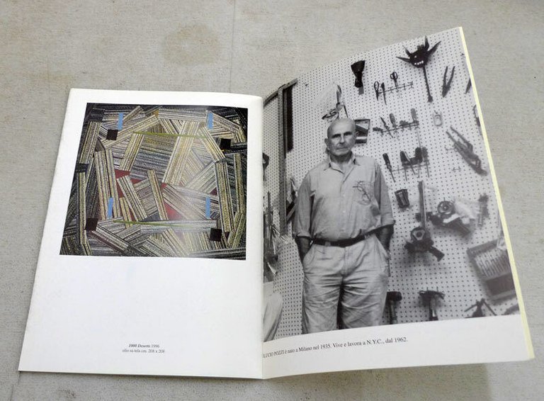 LUCIO POZZI,TUTTIPOZZI,2005 galleria Peccolo[catalogo mostra arte contemporanea