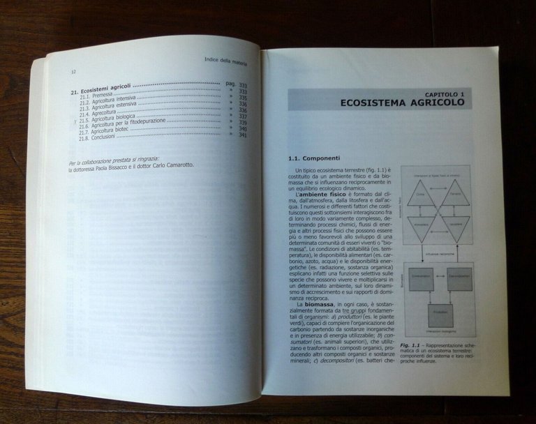 Luigi Giardini,A COME AGRONOMIA,2003 Patron[AGRICOLTURA,ECOSISTEMI AGRICOLI