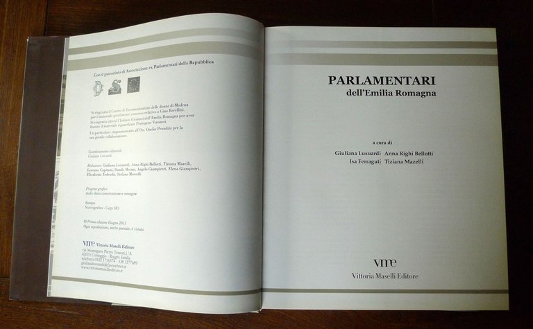 Lusuardi et al.,PARLAMENTARI DELL'EMILIA ROMAGNA,2013 VME[storia,politica