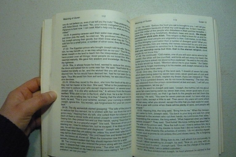 M.A.K. Pathan,THE MEANING OF THE QURAN,India 1993[Corano,