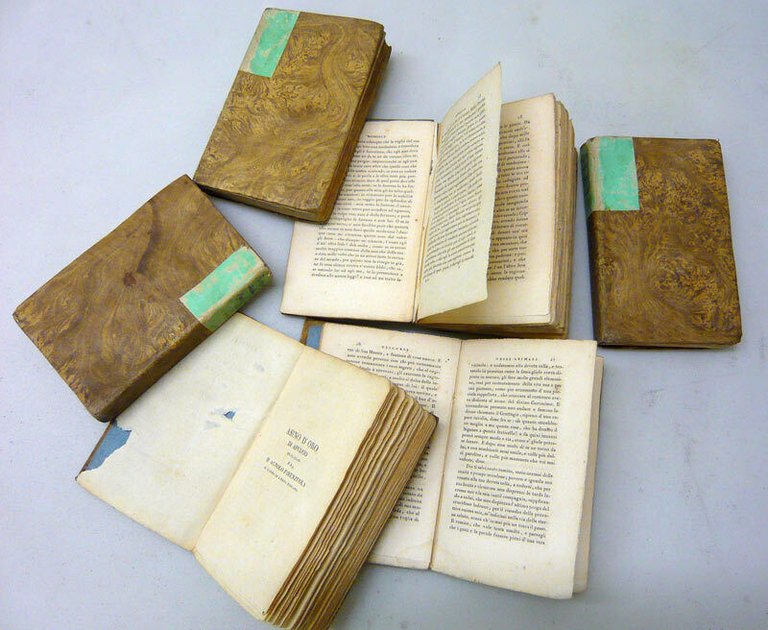 M.AGNOLO FIRENZUOLA,OPERE.6 voll.,1816 Pisa,Niccolò Capurro