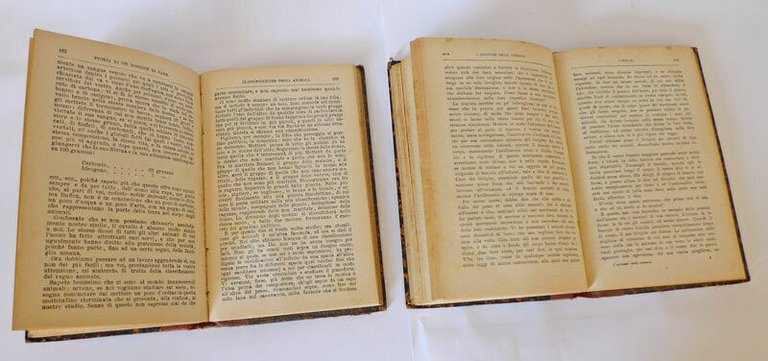 Macé,STORIA DI UN BOCCONE DI PANE/I SERVITORI DELLO STOMACO,1925[alimentazione