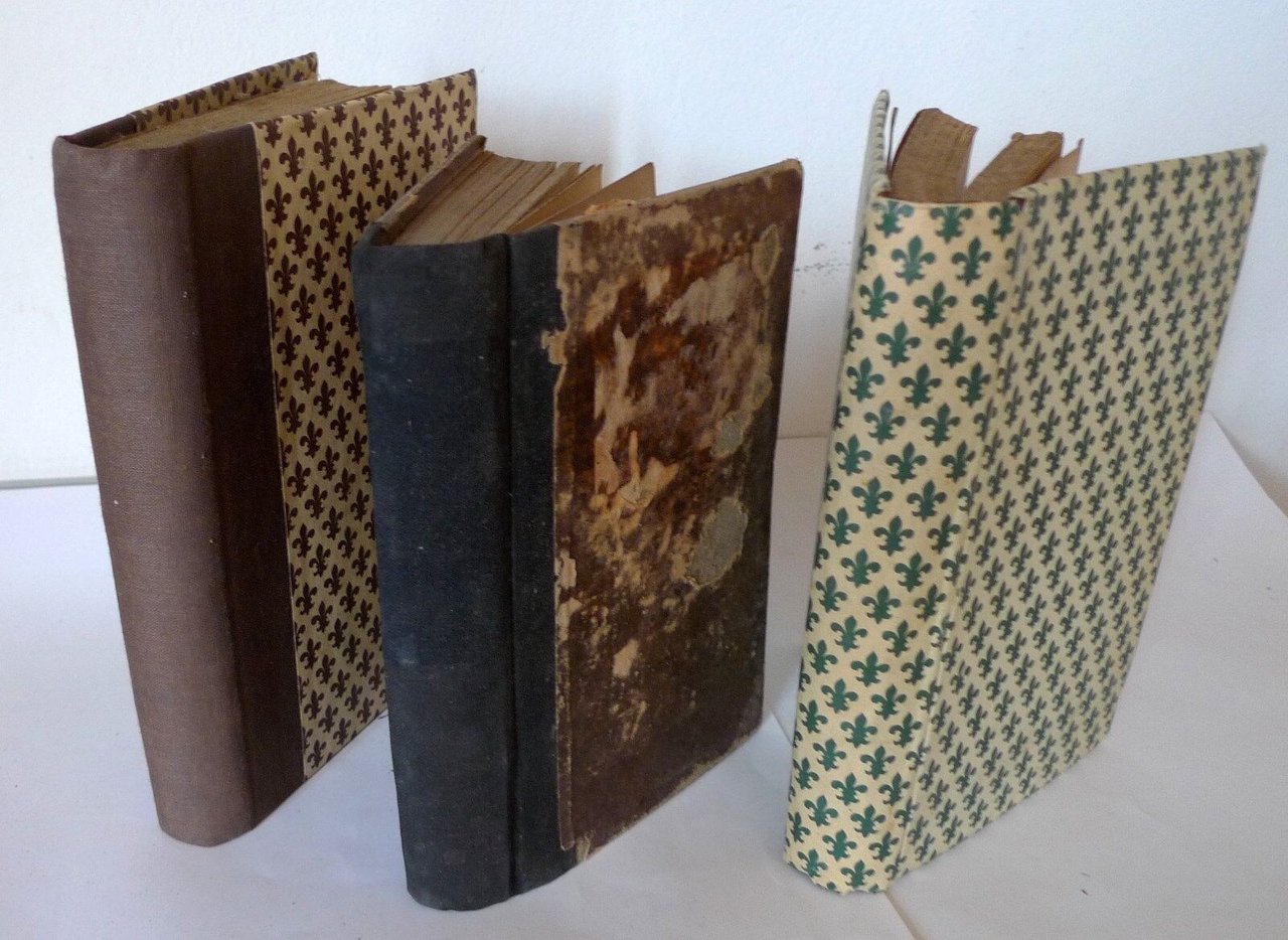 Maeterlinck,LA VIE DES TERMITES/LA SAGESSE ET LA DESTINÉE/LE GRAND SECRET,1911