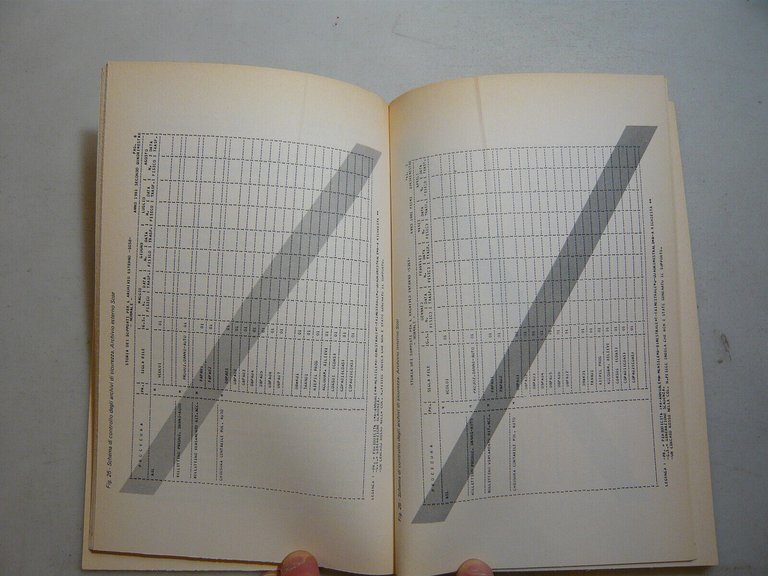 Marconi-Nesti,ORGANIZZAZIONE E GESTIONE DI UN CENTRO DI CALCOLO,Milano,1982