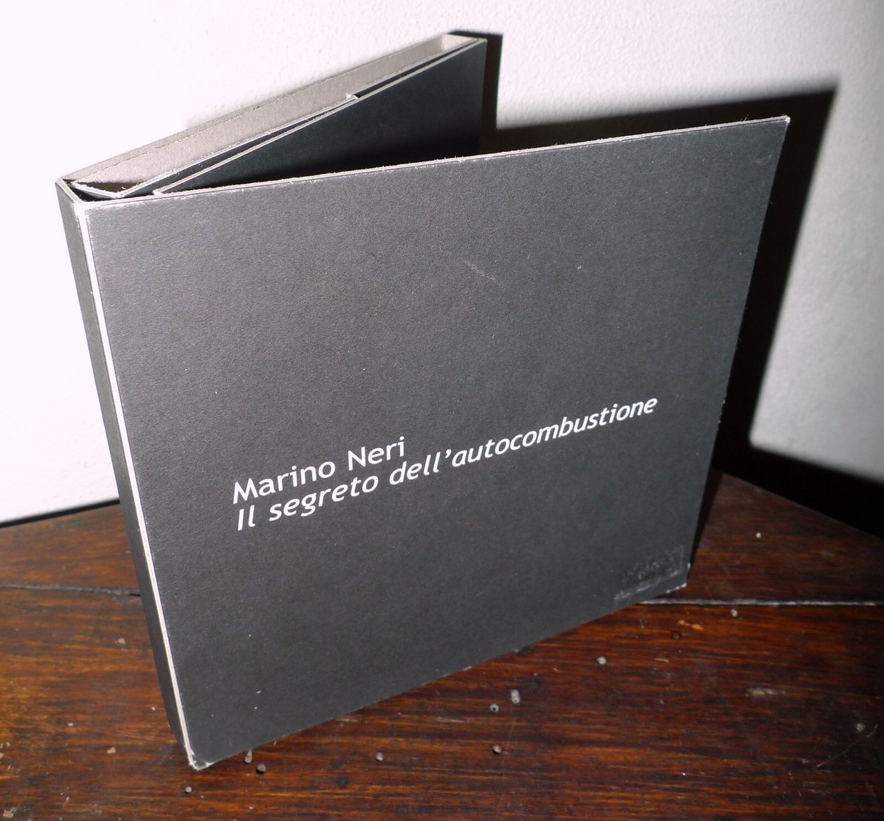 Marino Neri,IL SEGRETO DELL'AUTOCOMBUSTIONE,2007 Bologna,RAM HOTEL[illustrazione