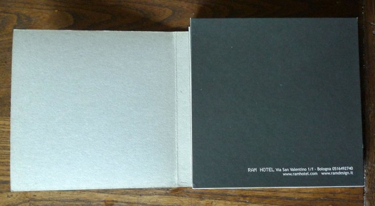 Marino Neri,IL SEGRETO DELL'AUTOCOMBUSTIONE,2007 Bologna,RAM HOTEL[illustrazione