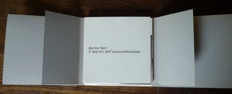 Marino Neri,IL SEGRETO DELL'AUTOCOMBUSTIONE,2007 Bologna,RAM HOTEL[illustrazione