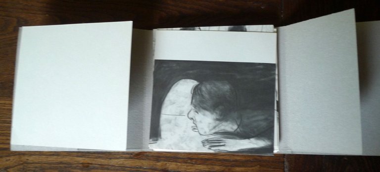 Marino Neri,IL SEGRETO DELL'AUTOCOMBUSTIONE,2007 Bologna,RAM HOTEL[illustrazione