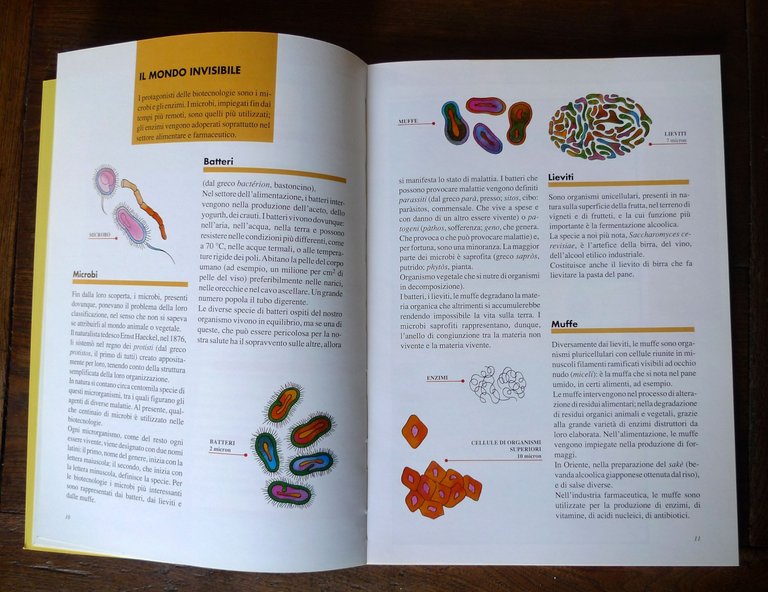 Marino Nicolini,IL MONDO DELLE BIOTECNOLOGIE,DSE 1992[Regione Veneto | Immagine Gallery 5