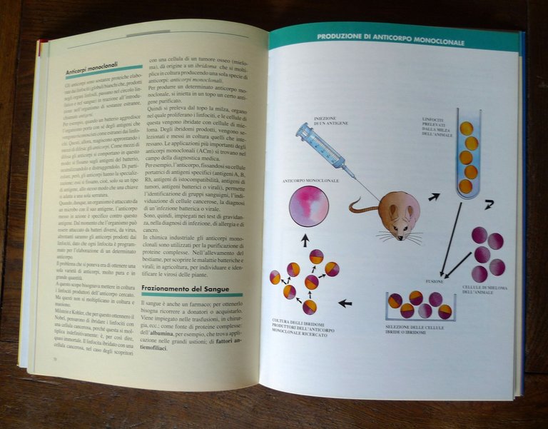 Marino Nicolini,IL MONDO DELLE BIOTECNOLOGIE,DSE 1992[Regione Veneto | Immagine Gallery 7
