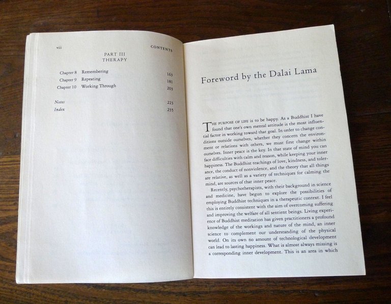 Mark Epstein,THOUGHTS WITHOUR A THINKER,1995[psicoterapia,buddismo