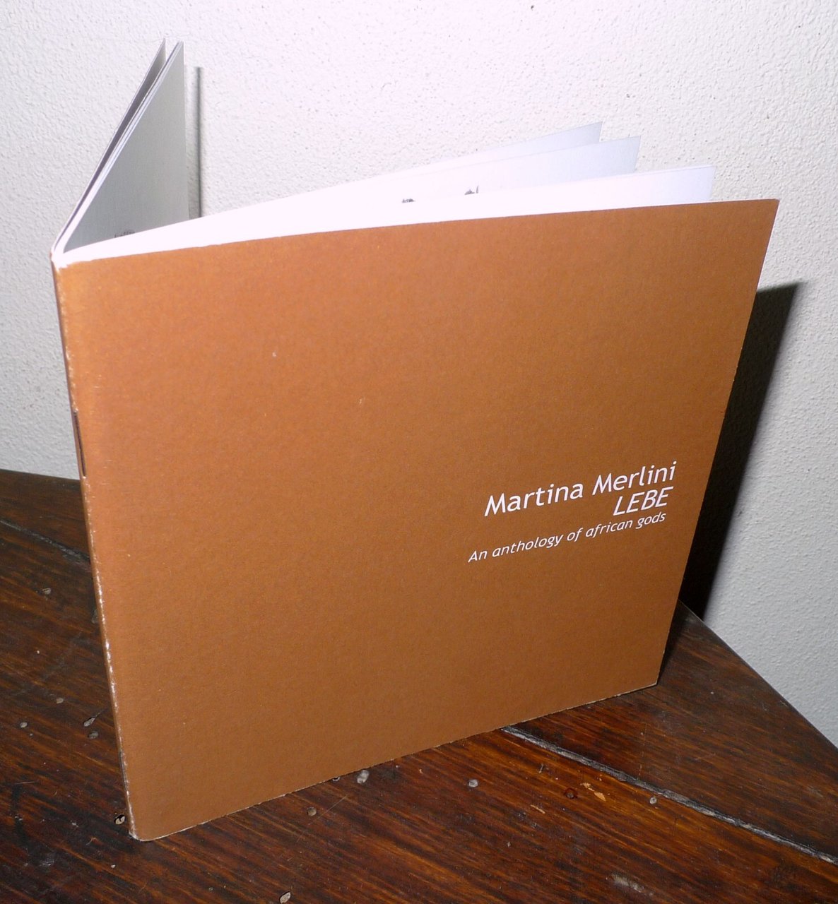 Martina Merlini,LEBE.AN ANTHOLOGY OF AFRICAN GODS,2012 RAM HOTEL[illustrazione