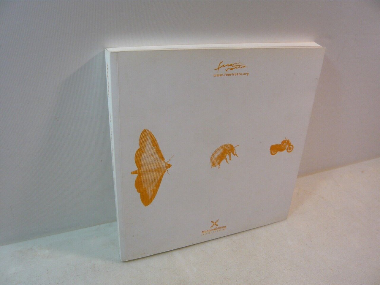 Martino Viviani,MARTINO L’ARROTINO, MonturaEditing, Rovereto, 2017