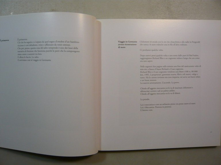 Martino Viviani,MARTINO L’ARROTINO, MonturaEditing, Rovereto, 2017