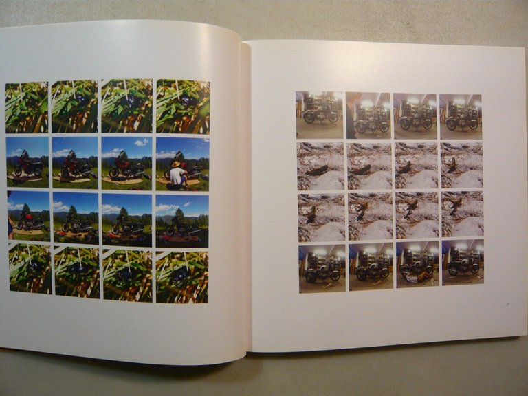 Martino Viviani,MARTINO L’ARROTINO, MonturaEditing, Rovereto, 2017