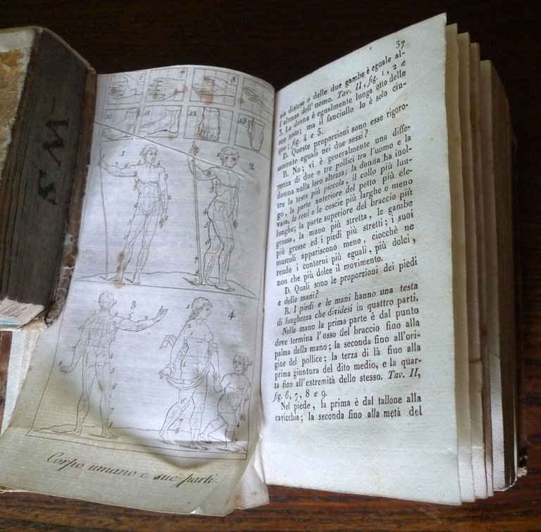 Masson,ENCICLOPEDIA AD USO DELLA GIOVENTÙ.PRINCIPJ DI TUTTE LE SCIENZE,1833