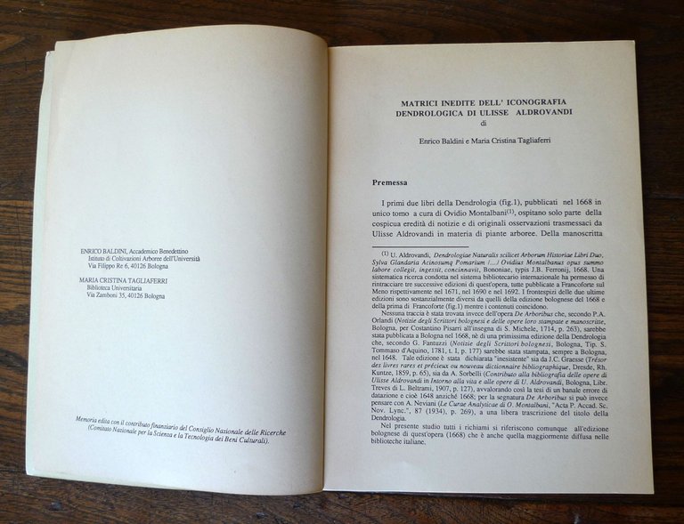 MATRICI INEDITE DELL'ICONOGRAFIA DENDROLOGICA DI ULISSE ALDROVANDI,1990 Bologna | Immagine Gallery 3