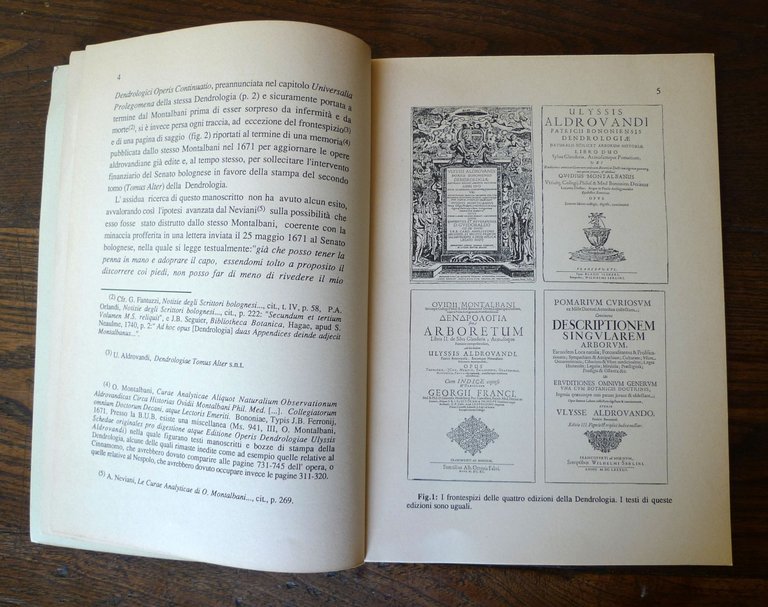MATRICI INEDITE DELL'ICONOGRAFIA DENDROLOGICA DI ULISSE ALDROVANDI,1990 Bologna | Immagine Gallery 4