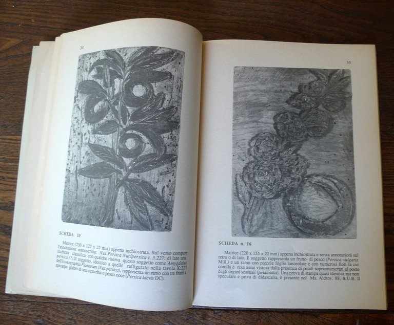 MATRICI INEDITE DELL'ICONOGRAFIA DENDROLOGICA DI ULISSE ALDROVANDI,1990 Bologna | Immagine Gallery 5