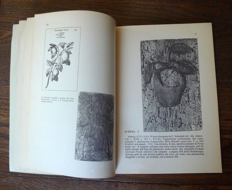 MATRICI INEDITE DELL'ICONOGRAFIA DENDROLOGICA DI ULISSE ALDROVANDI,1990 Bologna | Immagine Gallery 7