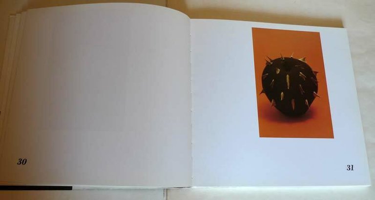 MAURO BUZZI.FOTOGRAFIE 1977-1988,Catalogo mostra antologica,Colorno[fotografia