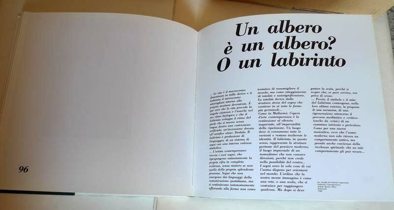 MAURO BUZZI.FOTOGRAFIE 1977-1988,Catalogo mostra antologica,Colorno[fotografia