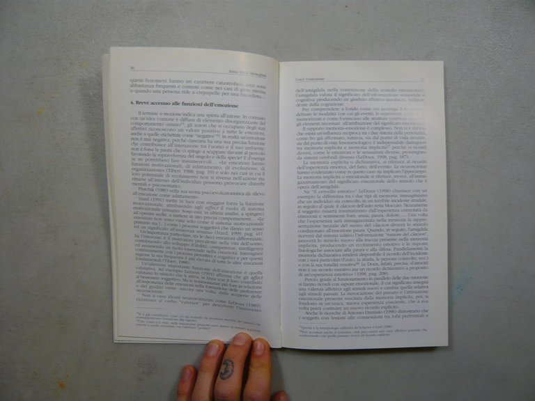 Meneghini,Emozioni, soddisfazione e giudizi di qualità del cliente,Cortina 2002