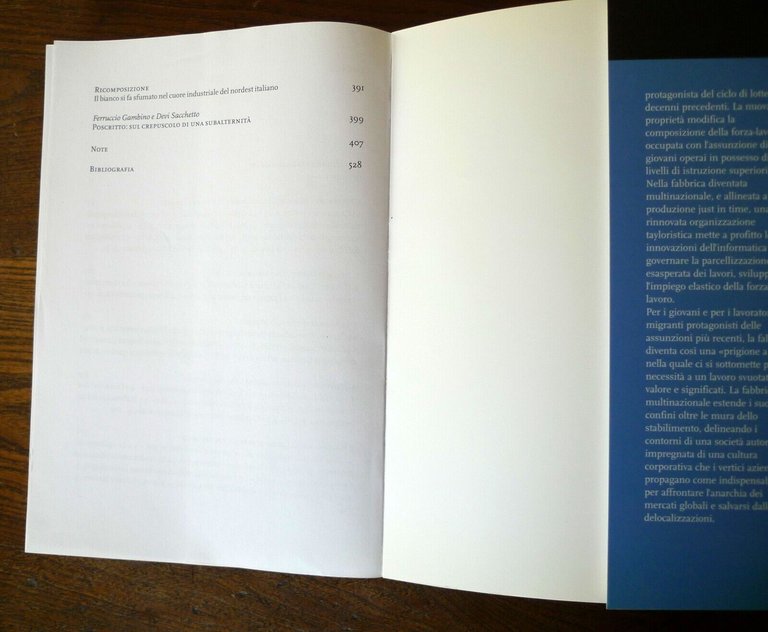 Merotto,LA FABBRICA ROVESCIATA,2015 DeriveApprodi[elettrodomestico,lotte operaie