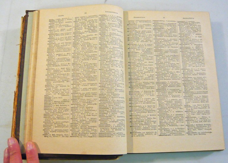 Michaelis,DIZIONARIO COMPLETO ITALIANO-TEDESCO E TEDESCO-ITALIANO,1886