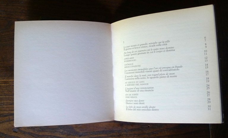 Michel Houellebecq,IL SENSO DELLA LOTTA,2000 Bompiani[poesia,inVersi,Aldo Nove